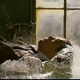 Image for article titled Breaking Down Inception's Dream Logic and Water Imagery